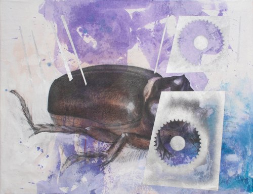 Escarabajo I Carboncillo, grafito, acrílico y aerosol sobre pellón  93 x 122 cm. 2015